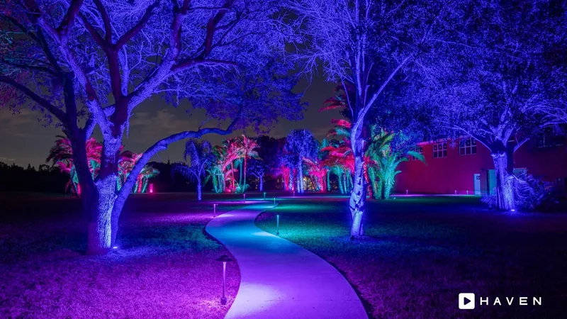Large oak trees uplit in purple over a curving path, with palm trees glowing pink and teal behind them.